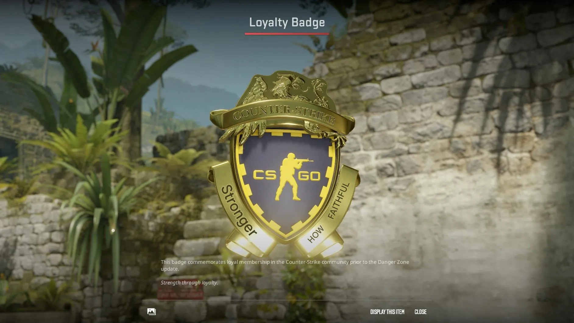 CS211 Prime enabled | 10-Year, 5-Year, Loyalty, Global Offensive Medals – 12 Years of service, 21 Games, 21,336 Steam Points